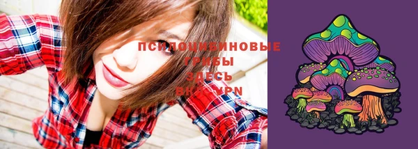 сатива Богданович
