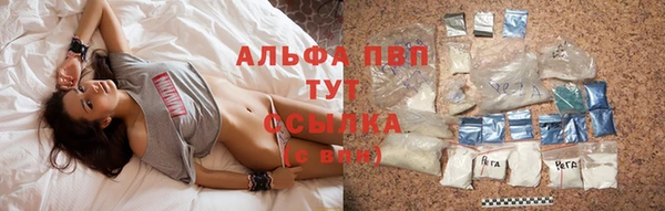 сатива Богданович