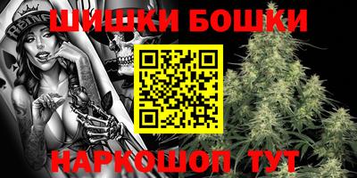 МДПВ Заводоуковск