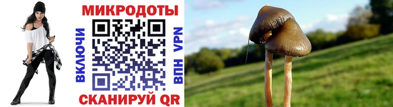 Галлюциногенные грибы ЛСД  Малоярославец 