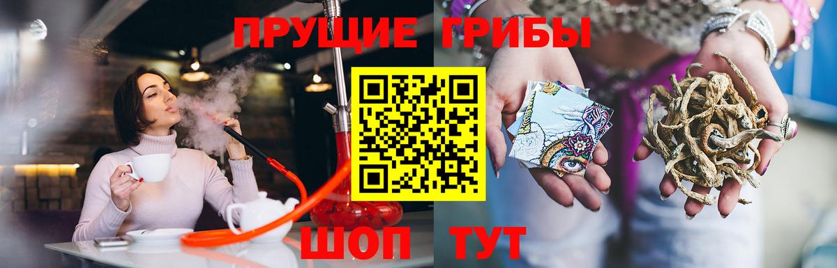 Псилоцибиновые грибы MAGIC MUSHROOMS Малоярославец
