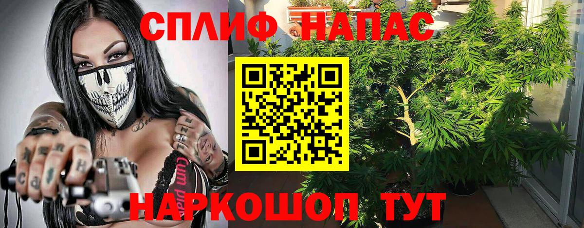 Малоярославец  Марихуана семена  Вход с VPN  Конопля гибрид  Бошки марихуана конопля 
